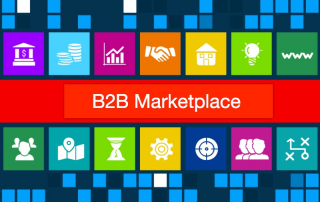 B2B Marketplace Site Development Software